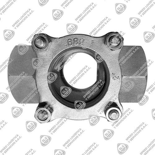 VISOR PARA VAPOR O CONDENSADO CON DOS VIDRIOS DE SEGURIDAD (SUPERVISA CONDICIONES DEL FLUIDO DE UNA TRAMPA DE VAPOR) DE ACERO INOXIDABLE 316 (CF8M) CLASE 150 ROSCA NPT BA.20.1 TIPO INDUSTRIAL HGV/SUN